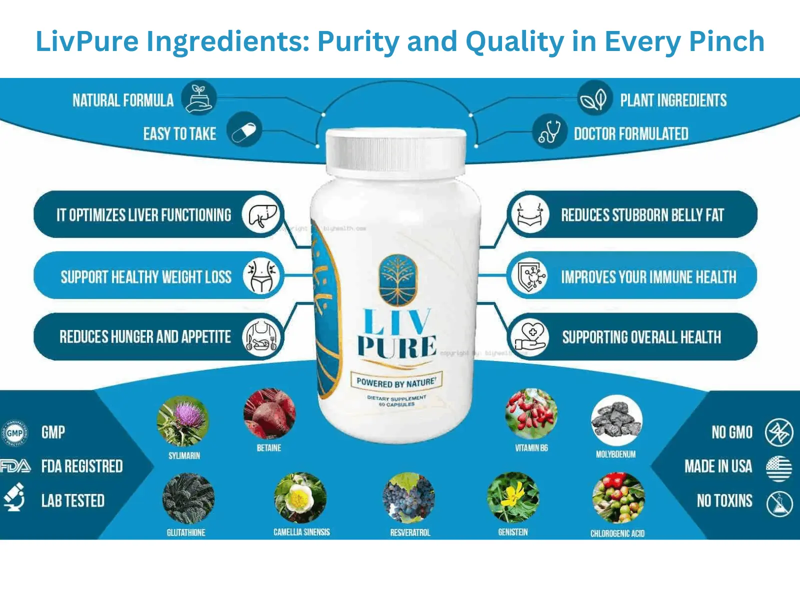 LivPure Ingredients Purity and Quality in Every Pinch